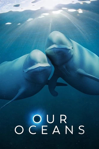 Download Our Oceans | 2024 | Season 1 | {Hindi-English-} | Netflix Original Web Series | 480p 720p 1080p | MoviesRock